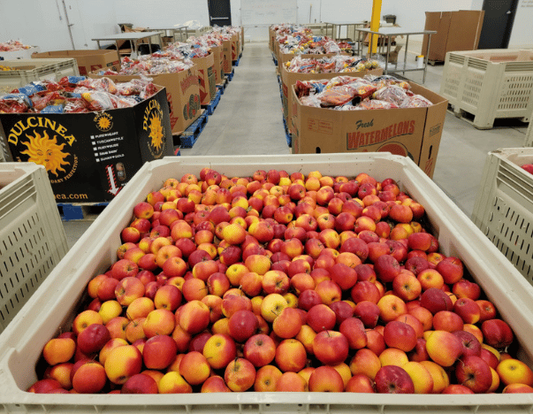 Peaches in warehouse